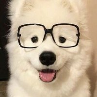mood. (@bodplengg) 's Twitter Profile