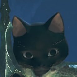 シショーさんのプロフィール画像