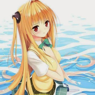 DoniShogun51042's profile picture. 