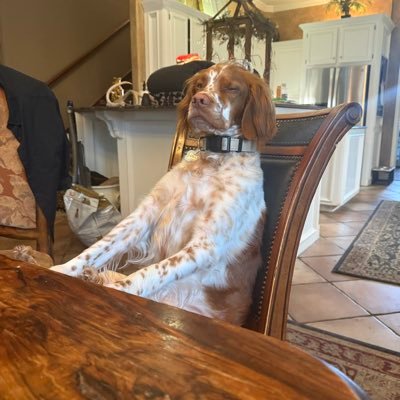 Dad. Unconflicted tactical inv adviser. clear through Interactive Brokers - Laus Deo opinions are mine #2a #nra #fightthenoise #crypto #xrp #questioneverything