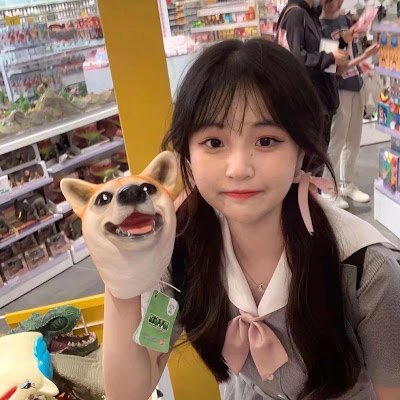 welshcorgi3333's profile picture. 