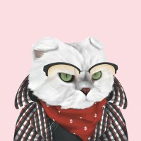 Melanie Cole (@melaniecol05) 's Twitter Profile Photo Melanie Cole (@melaniecol05) 's Twitter Profile Photo