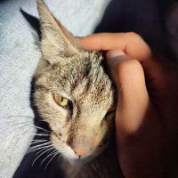 KAMAEL RIOH (@julywinnx) 's Twitter Profile