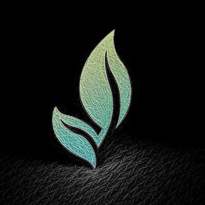 Eco-friendly and sustainable #investing, #crypto, , #bitcoin, https://t.co/kvUjTYBkFJ. Put your focus on future and your well-being. 800k subscribers on YouTube/TikTok/IG.
