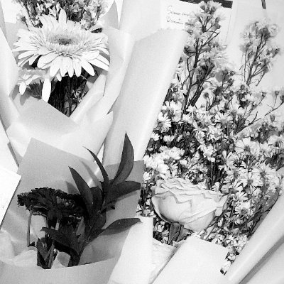 mantarayyy24's profile picture. akun bwt jb jb