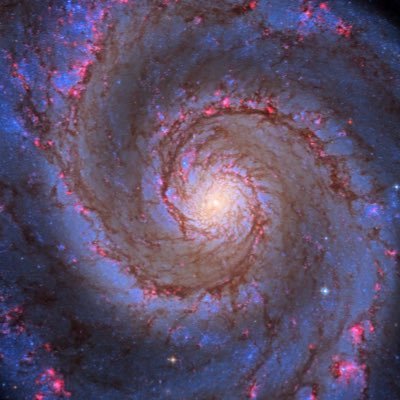 Solit_04's profile picture. You shall live by inflicting pain. You shall forgive.