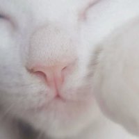salem (@blooddrivedonor) 's Twitter Profile Photo salem (@blooddrivedonor) 's Twitter Profile Photo