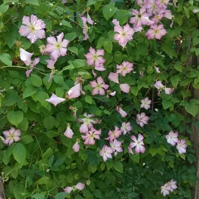 taikiken1216's profile picture. 