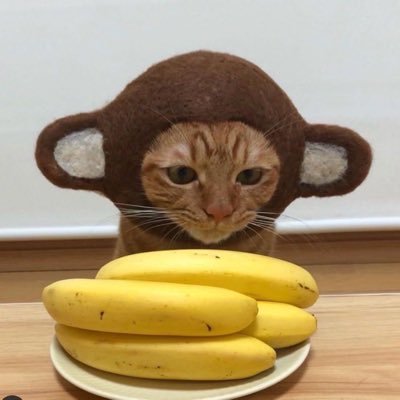 seawil425's profile picture. 