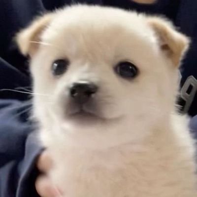 DOJU907's profile picture. 내가틀리고니가맞다