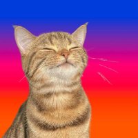 CACA || BTS YEAR (@_cacaaaih) 's Twitter Profile