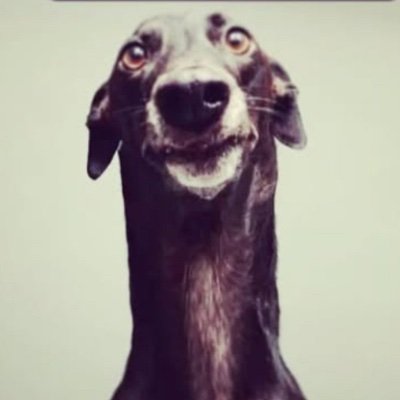 Blue_Da_Ba_Deee's profile picture. Funni blue dabadeedabadai — banner made by an online friend
He/Him or whatever I dont care 
Discord is ImBlueDaBaDeeDaBaDai
#1 hater!!!!