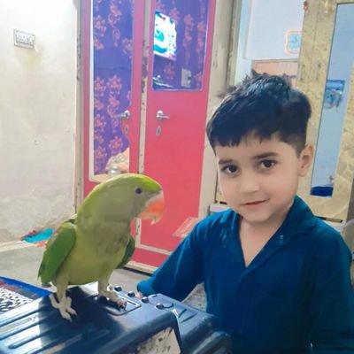 SarangMn2's profile picture. राष्ट्रवादी हिंदू , भाजपा समर्थक , मोदी भक्त , जय हिन्द जय श्री राम!अजय भारत -अटल भाजपा