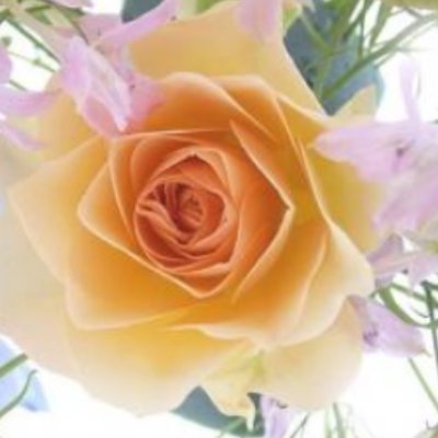 feetloverxxx25's profile picture. in a serious relationship 
love feet