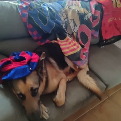 Del Barça hasta la muerte!! y de Santa Coloma de Gramanet