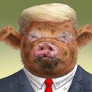 TACO: 'Trump Always Chickens Out'
Maga becomes MEGA: MAKE EUROPE GREAT AGAIN
Trump is a policital and economic terrorist