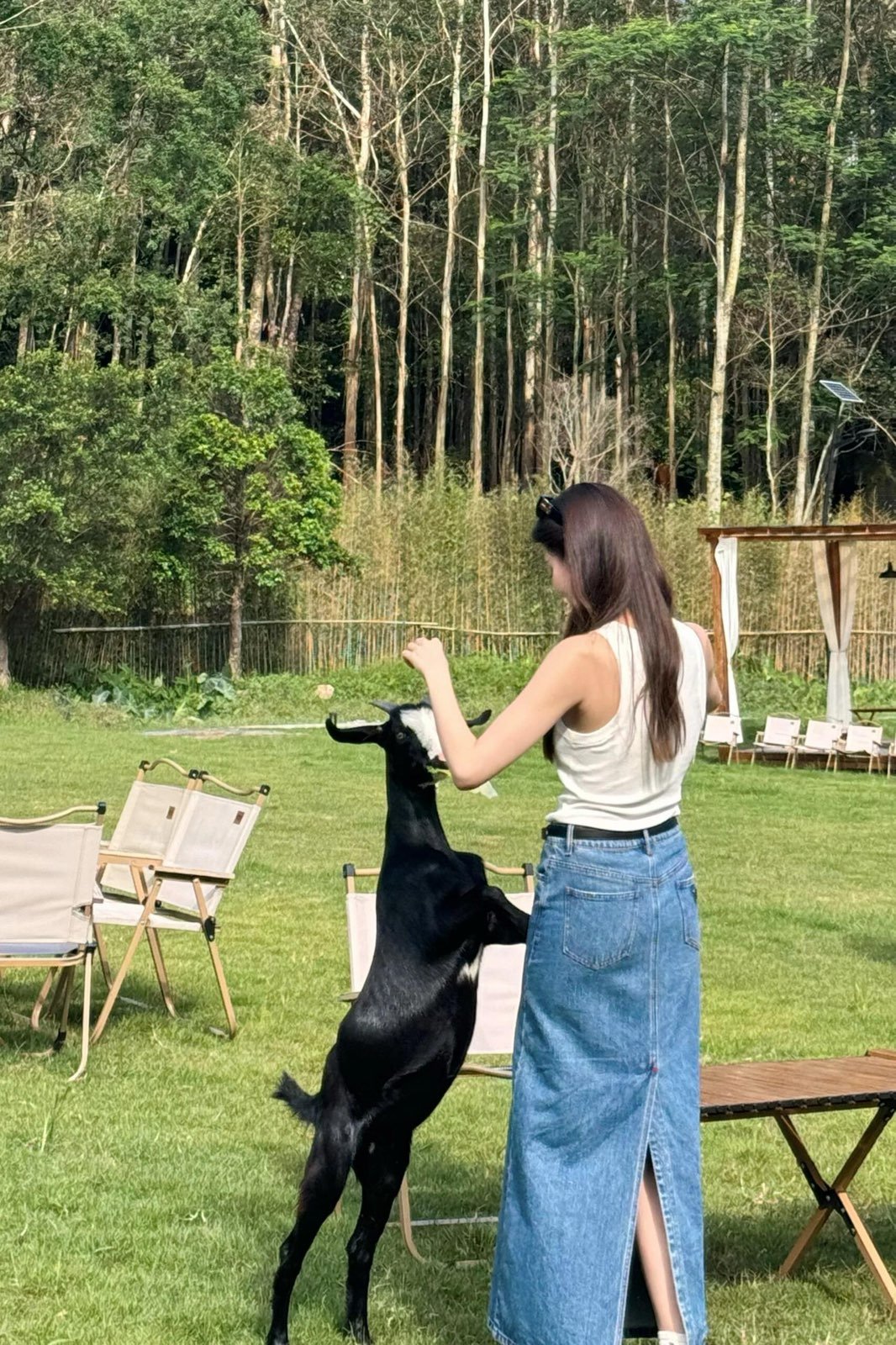 Nallea15496's profile picture. Whatever happens, we're a family.