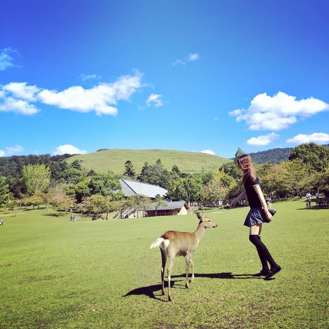 Ydooti5392341's profile picture. Whatever happens, we're a family.