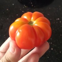 Pink Bunny Butf (@pinkbunbutf) 's Twitter Profile Photo