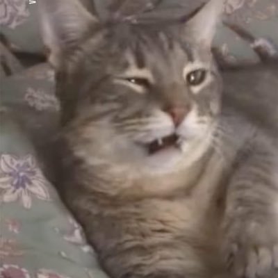 yup_smd's profile picture. NYC 📍 only here for a good time not a long time 🥷🏽🦅