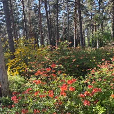 AlinBee2's profile picture. 