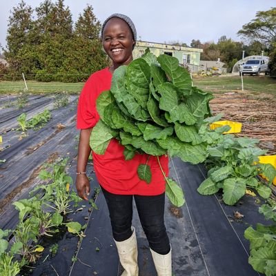 African Indigenous Vegetables Promoter! Research Assistant NC State! Seed Specialist!Future plant breeder! 😉 Agri-Influencer!