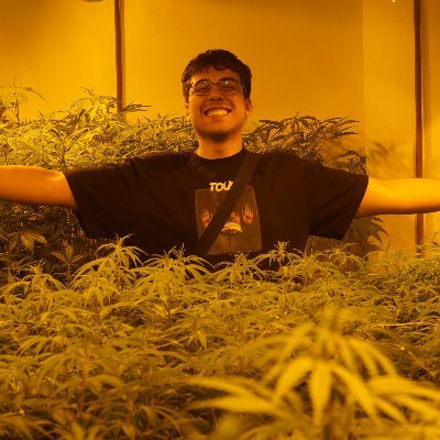 engenheiro e pesquisador pela UFF que ama cultivar e estudar uma planta muito especial (de maneira legal é claro rs)
cultivo legal com autorização da justiça
