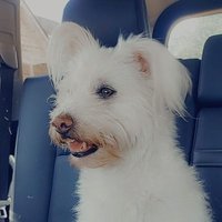 Zickmeister (@czickiec) 's Twitter Profile