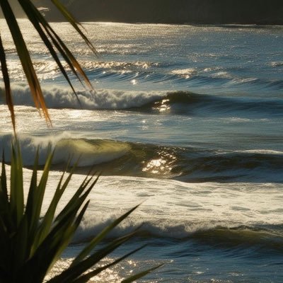 donutdeann's profile picture. 15🥱