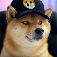 🐶PlanÐ🐕 (@1trillionusdoge) 's Twitter Profile Photo 🐶PlanÐ🐕 (@1trillionusdoge) 's Twitter Profile Photo