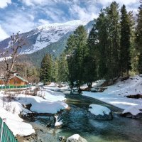 Rahul (@creative_unity) 's Twitter Profile Photo