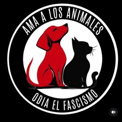 interesado en la informacion, libros, peliculas, comics , actualidad, animales, medioambiente.