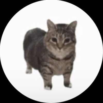 l3le__'s profile picture. problemática e estranha