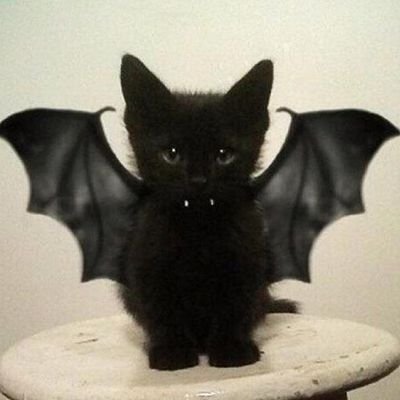 frequentchaos's profile picture. 