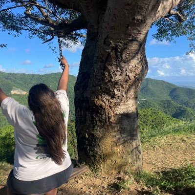 alcalaluz's profile picture. 