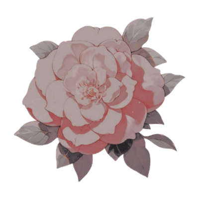 ⠀⠀⠀🪷⠀⠀——— ⠀ 𝑊elcome to 𝗢𝗺𝗮𝗹𝗶𝗮 ⠀⠀╱╱ ⠀⠀⠀rol omegaverse cerrado ❜ * Horᥲrιo ρᥱᥒιᥒsᥙᥣᥲr ㅤ⠀⠀ㅤ⠀
ㅤ⠀ ₊ 𝙸𝙽𝙵𝙾 𝙴𝙽 𝙴𝙻 𝙵𝙸𝙹𝙰𝙳𝙾 ༉‧