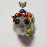 F/A Pony | Psicología deportiva (@ponygalleta_lol) 's Twitter Profile