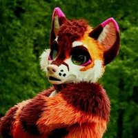 Miles (@miles_foxxx) 's Twitter Profile