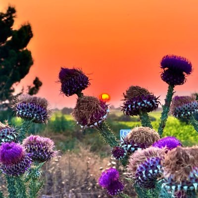 justnewborn2025's profile picture. 