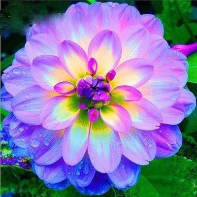 harutoaoiaoi's profile picture. 私は60代です。自然を愛し、世界が平和でありますように願っています。🥰
