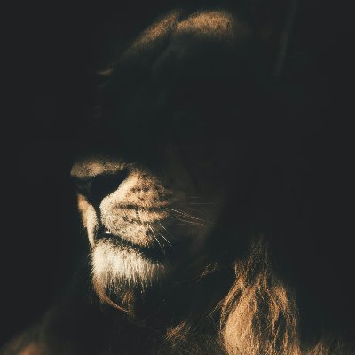 Grzosu Profile