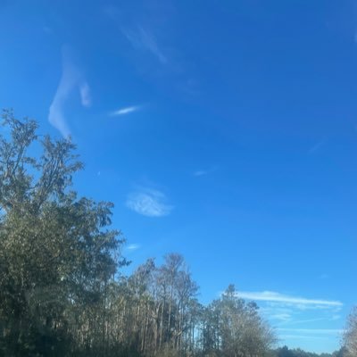 girlwithammb7's profile picture. Author of: The Girl with a Magical Martian Brain Copywriter & Teller of Tales that I hope are Swell. https://t.co/EnypJUGXN4