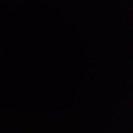 WomensDopamine's profile picture. 