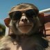 Monkey Marxist (@monkeymarxist) Twitter profile photo Monkey Marxist (@monkeymarxist) Twitter profile photo