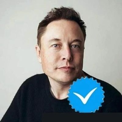 CEO - SpaceX
,Tesla
Founder - The Boring Company
* Co-Founder -Neuralink, OpenAI o Tesla and SpaceX company is over here in the states