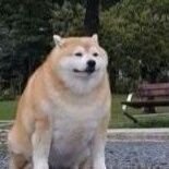 .さんのプロフィール画像