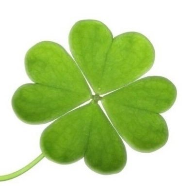 lykkuma's profile picture. 