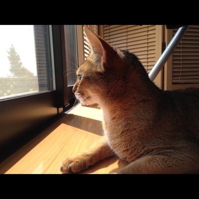 Qさんのプロフィール画像