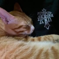 でんでん (@kae_den___) 's Twitter Profile