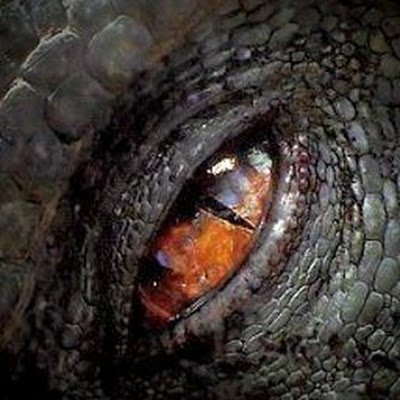 Delgado180_'s profile picture.